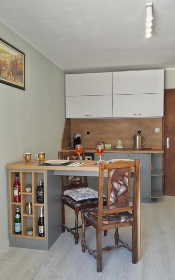 Cozy Studio Near The Park With Huge Verandah. Weliko Tarnowo Exterior foto